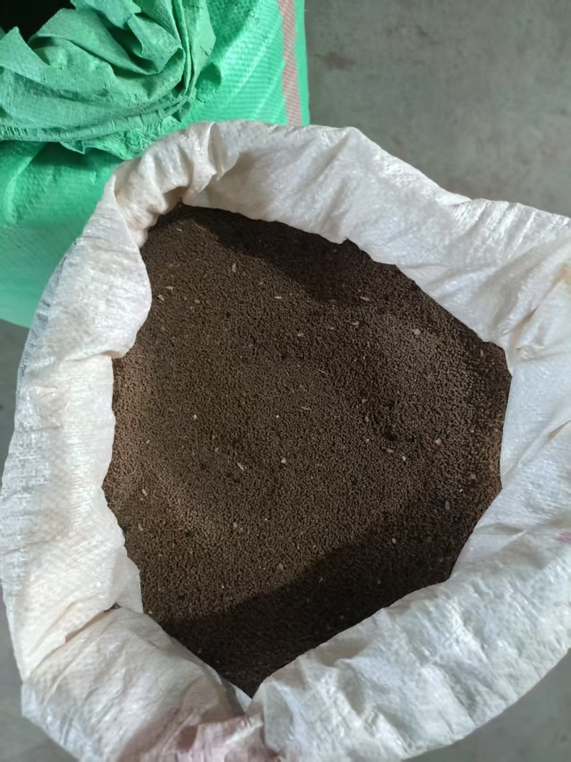 精品面条菜种子货源充足量大从优质量保证欢迎咨询