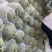 哈密瓜新疆吐鲁番货源充足量大从优诚信经营欢迎咨询