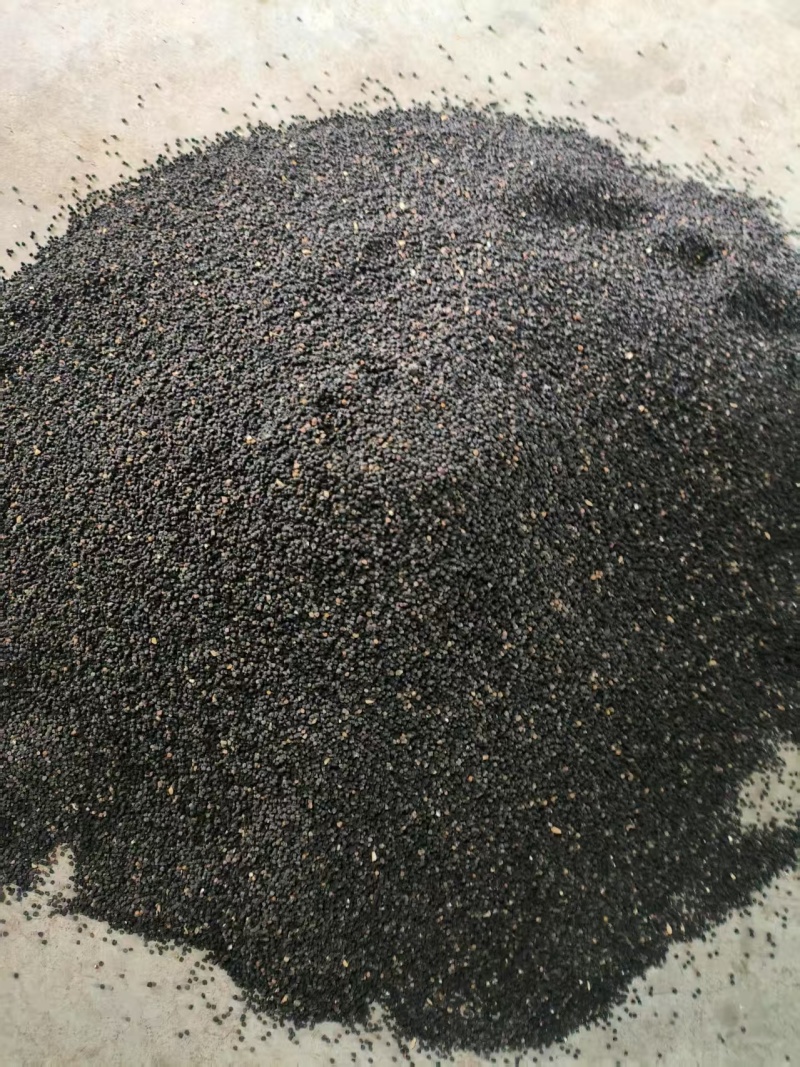 精品面条菜种子货源充足量大从优质量保证欢迎咨询