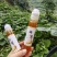 个人养殖土蜂蜜，自产自销一手货源，