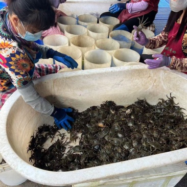 盘锦六月黄。摆摊儿自助餐。辣炒小吃专用