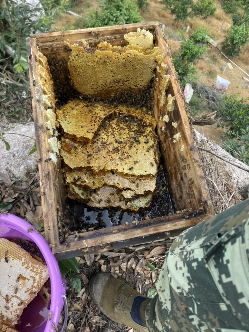 农一年以上哦农家老土蜜