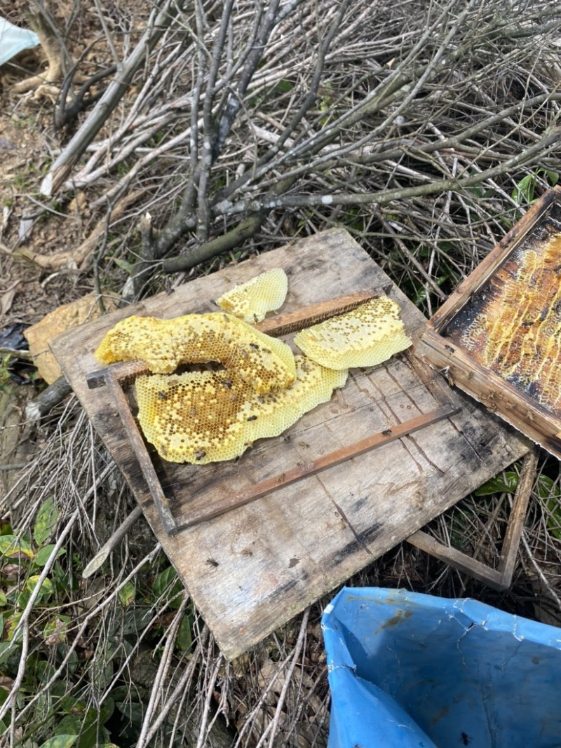 农一年以上哦农家老土蜜