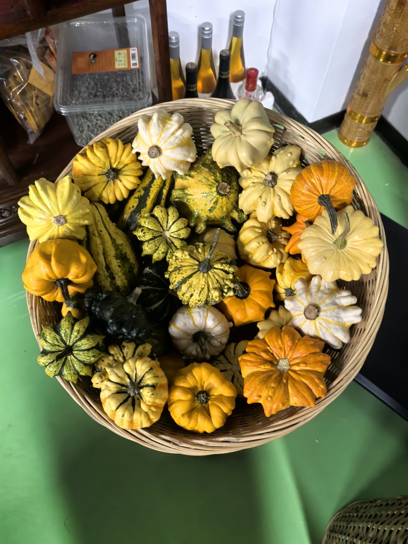 云南七彩金银瓜
