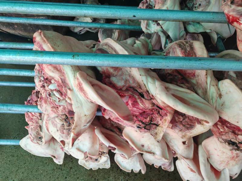 猪头对接商超精品货源全国发货大量有货