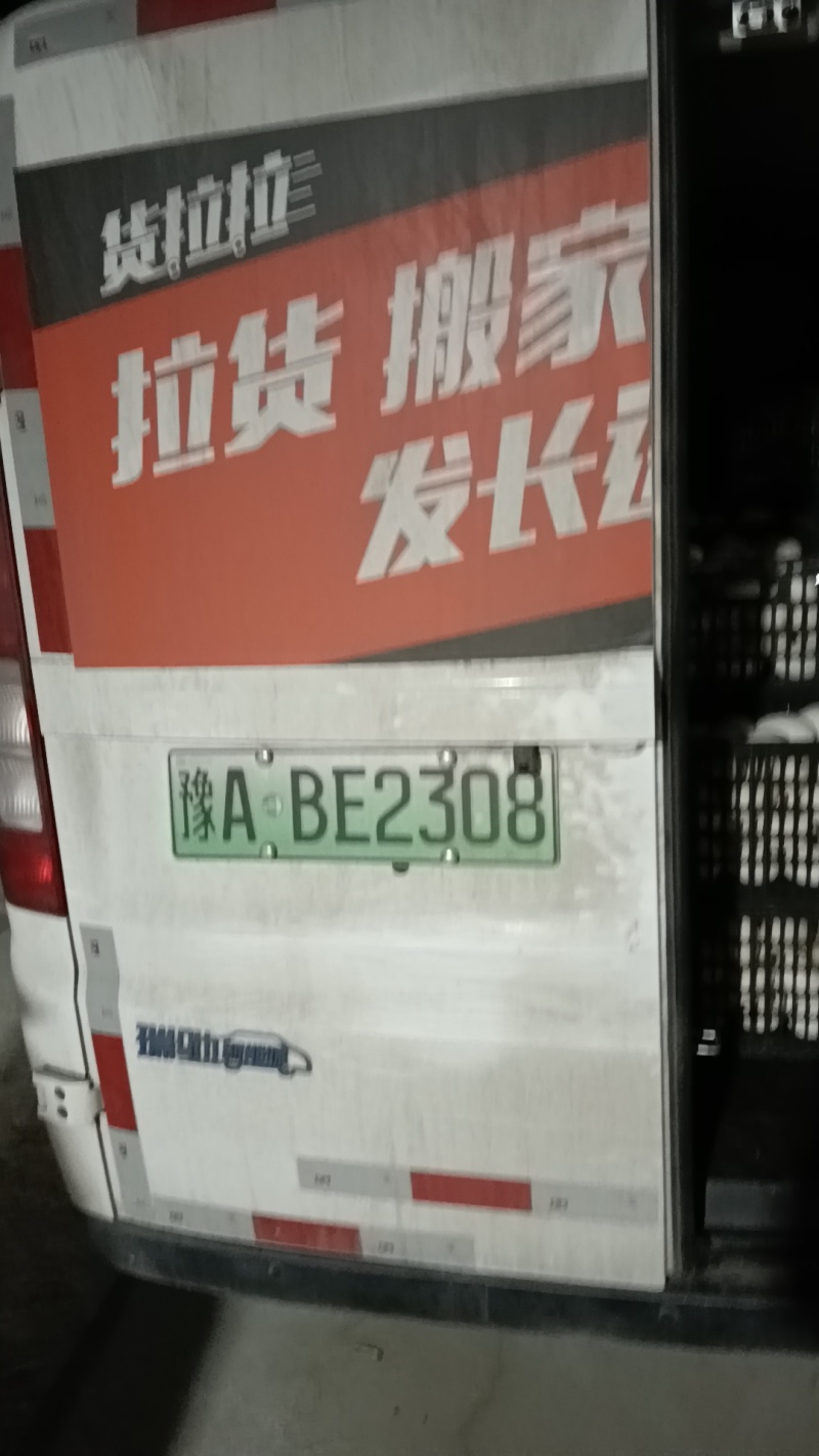照蛋5天照蛋圆黄鹅蛋批发鹅蛋量大从优