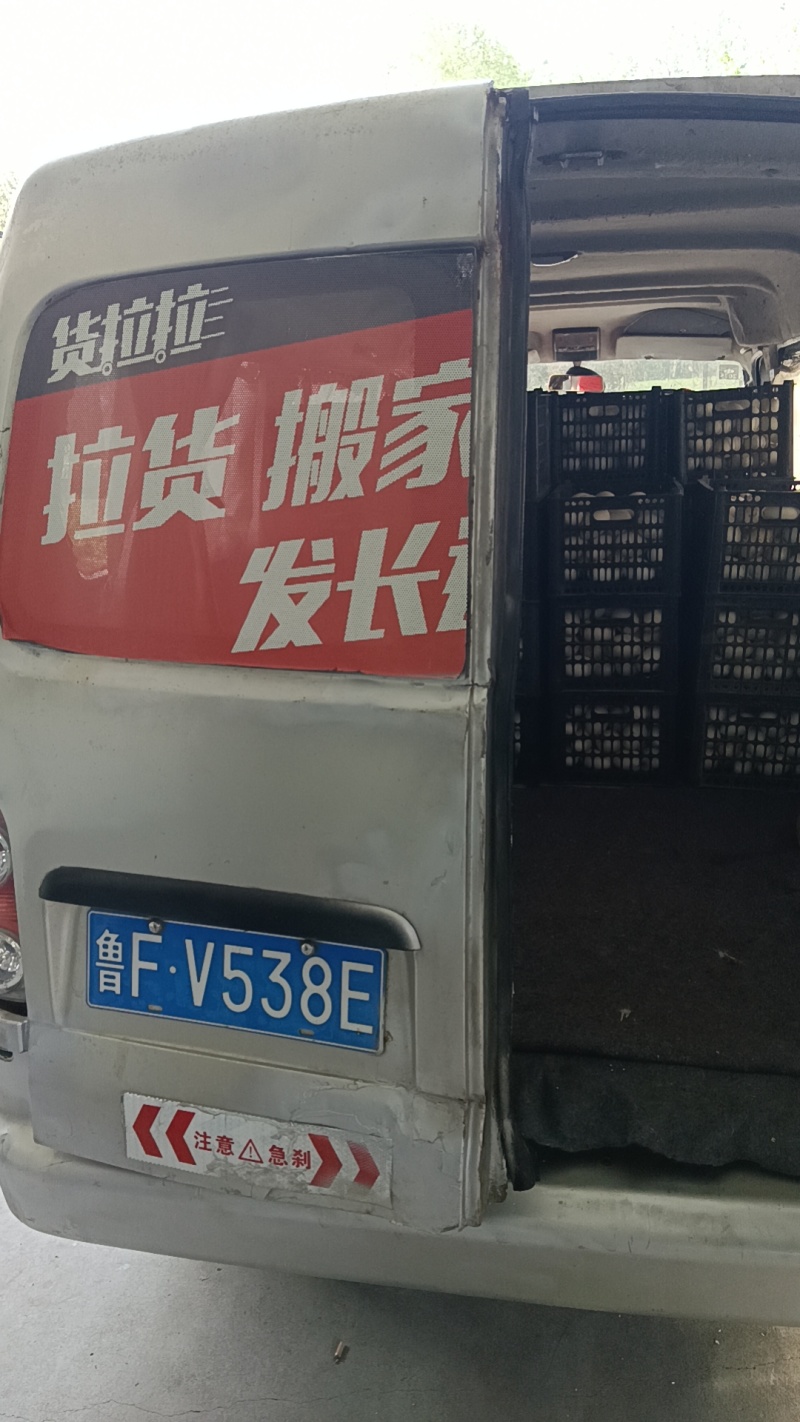 照蛋5天照蛋圆黄鹅蛋批发鹅蛋量大从优
