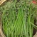 出售山野菜，红薯杆，蕨菜干