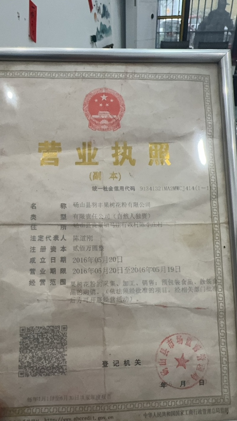安徽砀山黄桃大量上市中，一手货源视频看货对接全国