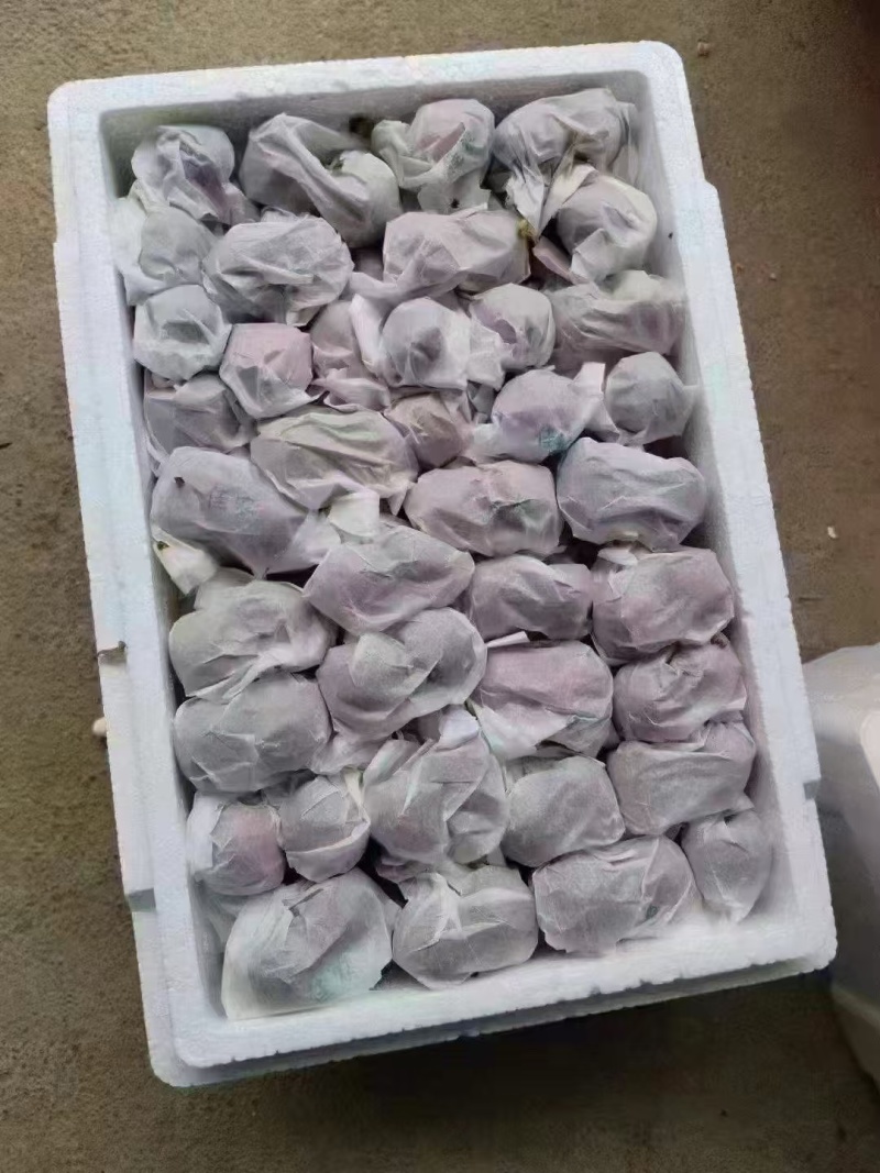 樱桃
