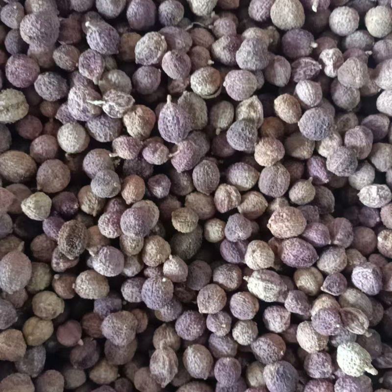阳春砂仁批发中药材原料批发国产正品阳春砂仁壳砂批发