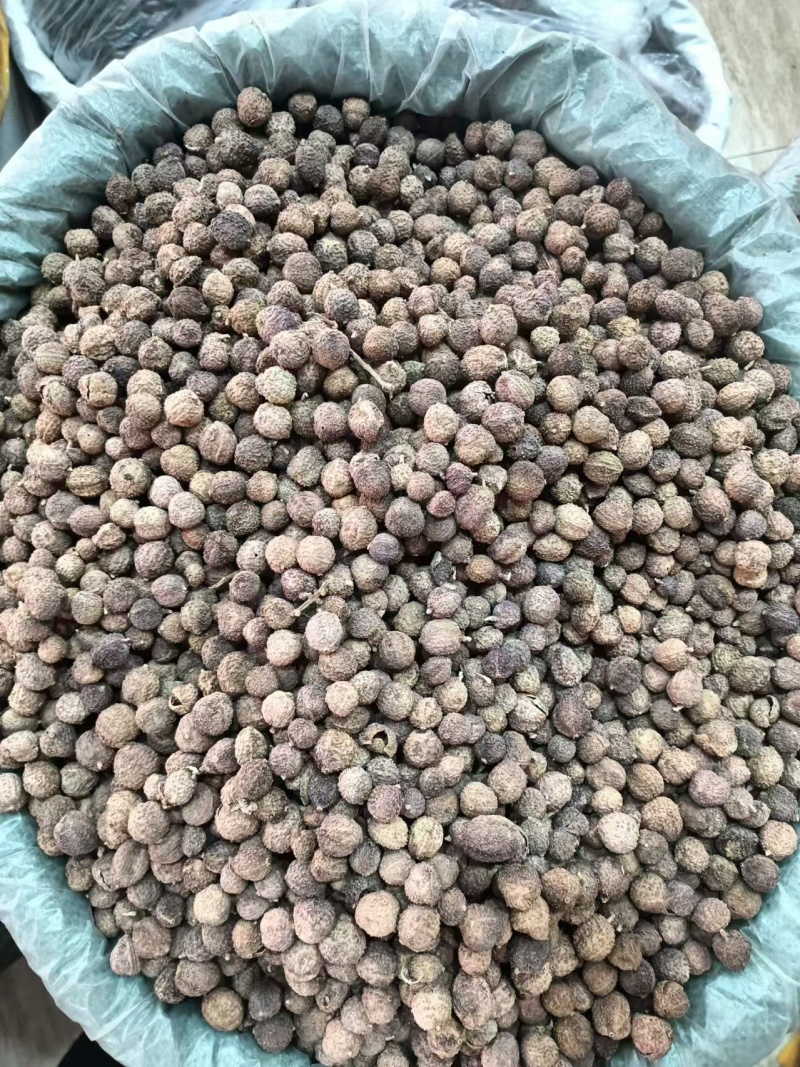 阳春砂仁批发中药材原料批发国产正品阳春砂仁壳砂批发