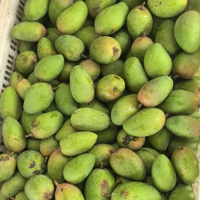 小台农工厂货加工奶茶香味十足需要可以联系合作