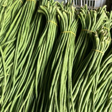 质量嘎嘎好，价格不高