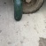 冬瓜长条冬瓜大量上市中价格美丽产地直供欢迎咨询
