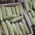 珍珠白苦瓜大量供应保质保量价格优惠