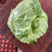 面包甘蓝菜，价格便宜，棚里货，需要的老板下单哟