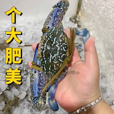 速冻兰花蟹