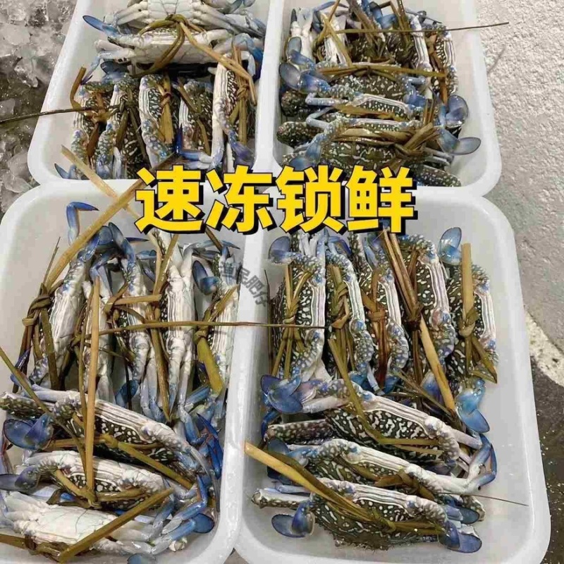 速冻兰花蟹
