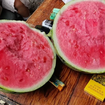 精品冷棚无籽麒麟美都