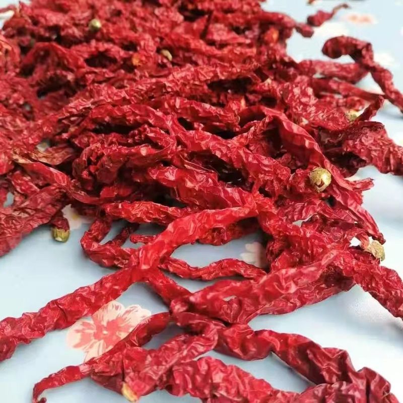 【实力推荐】二荆条辣椒/干辣椒/一手货源/视频看货/电询