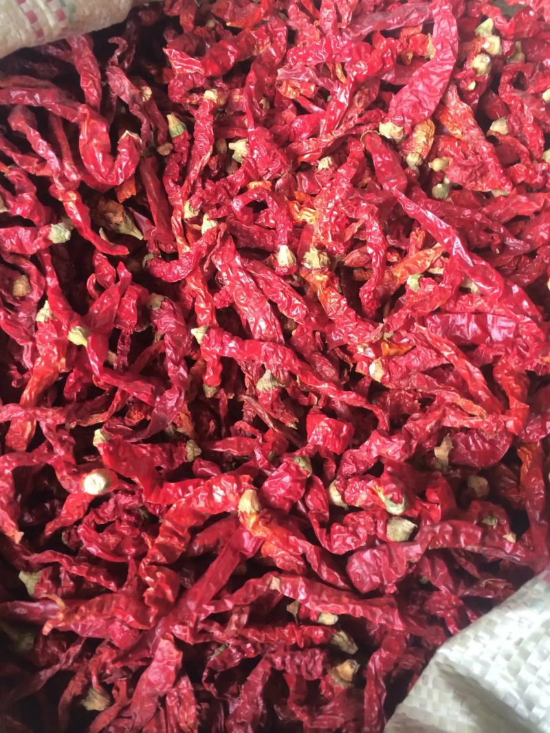 【实力推荐】二荆条辣椒/干辣椒/一手货源/视频看货/电询