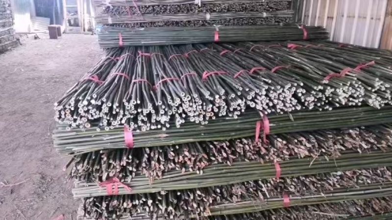 菜架竹，竹子，大别山区直发，可定制规格，可选择品种！