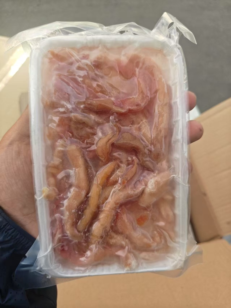 海肠