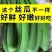 无锡江阴精品油皮香丝瓜，油皮丝瓜，油皮香丝瓜，