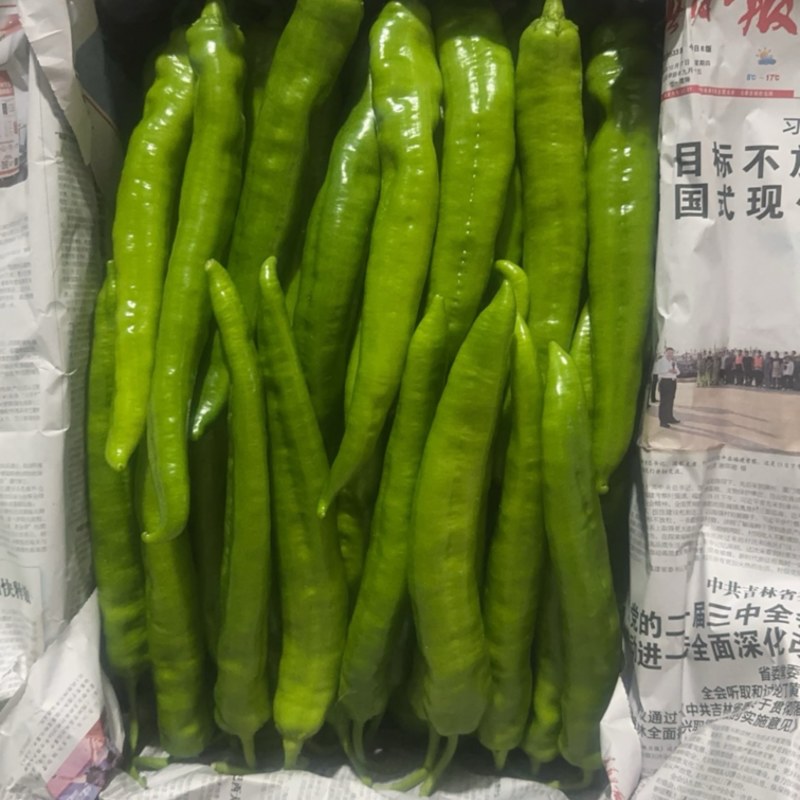 绿皮长剑尖椒
