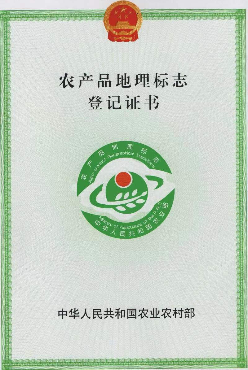 哈密精品哈密瓜【地标、绿色、有机三重品质认证】