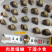 一口螺蛳，鲜香爆汁，给味蕾来场狂欢盛宴