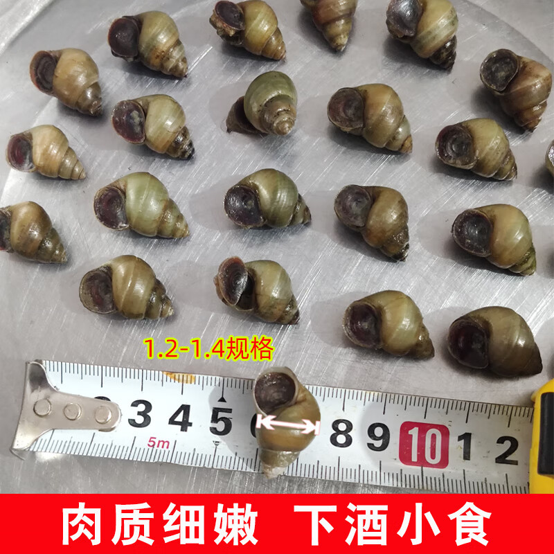 一口螺蛳，鲜香爆汁，给味蕾来场狂欢盛宴