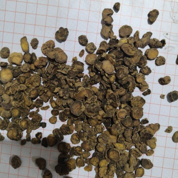 元胡片炙元胡片批发零售各种规格中药材
