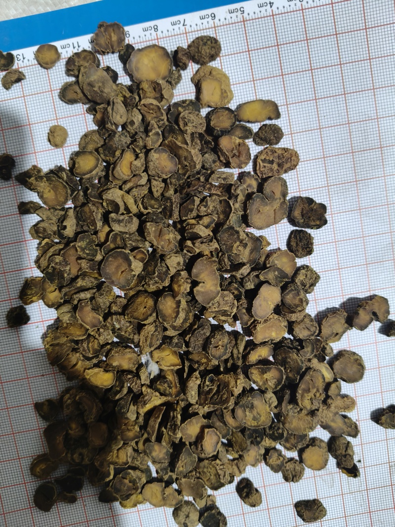 元胡片炙元胡片批发零售各种规格中药材