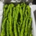 精品全螺丝椒