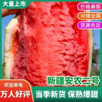 新疆安农二号西瓜水果价格便宜量大从优有需要联系