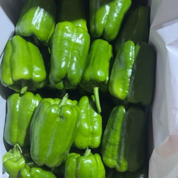青椒