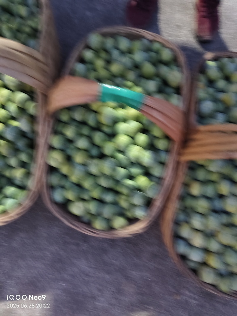 陕西汉中青脆李子，好吃质量好，一条龙服务
