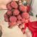 广东汕尾陆丰凤花荔枝、*后一批成熟的品种，清甜花香味