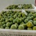 青脆李大量供货，电商果日供40000斤