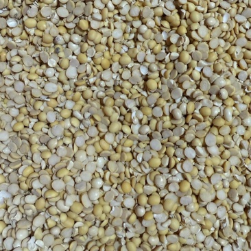 碎黄豆瓣牛羊饲养上地施肥