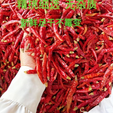 印度魔鬼椒S17巨辣爆辣干辣椒