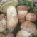 【鲜牛肝菌】不开伞云南昆明牛肝菌土特产产地直销量大从优