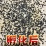 油葫芦蟋蟀\山东菏泽牡丹区\对接全国采购商