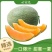 山东哓蜜25哈密瓜网纹瓜专业对接电商多多买菜