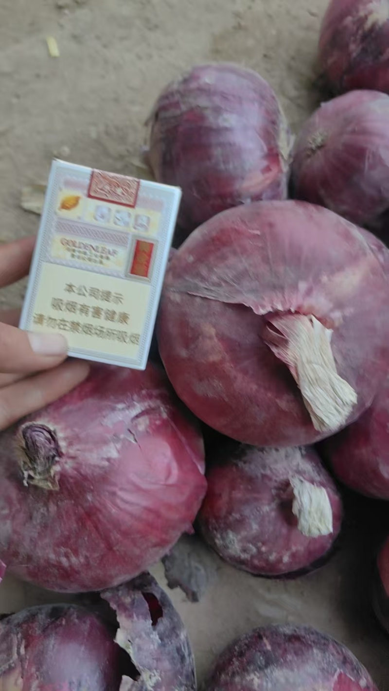 【热卖推荐】精品洋葱一手货源产地直销可视频看货
