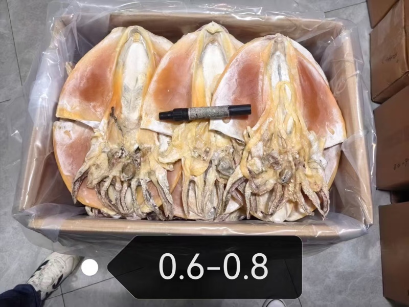 墨鱼干6-8浙江本港墨鱼干淡干墨鱼规格齐全欢迎联