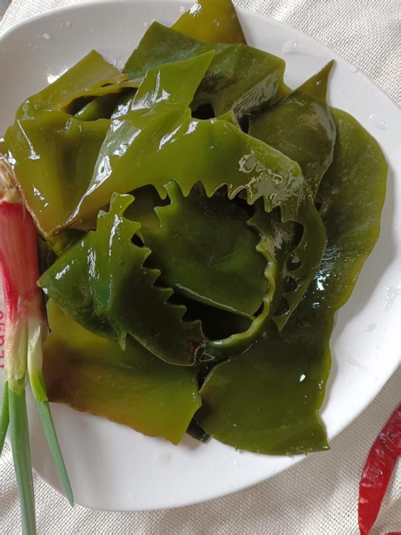 海带花边规格齐全产地直发量大优惠