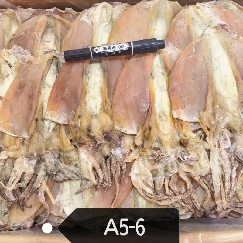 浙江本港墨鱼干5-6品质好规格齐全量大从优欢迎联